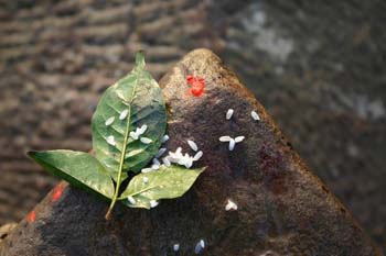 Kashi 13_